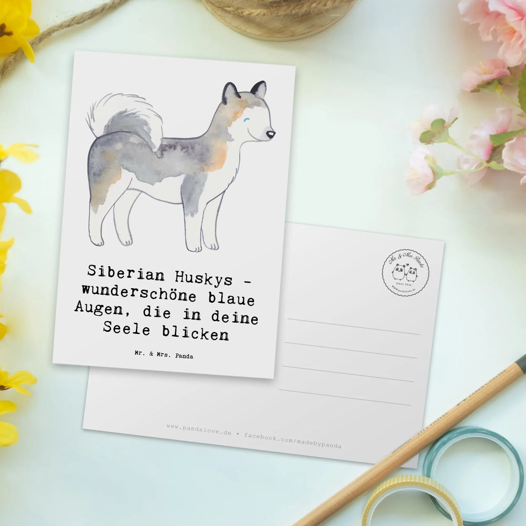 Postkarte Siberian Husky Augenzauber Postkarte, Karte, Geschenkkarte, Grußkarte, Einladung, Ansichtskarte, Geburtstagskarte, Einladungskarte, Dankeskarte, Ansichtskarten, Einladung Geburtstag, Einladungskarten Geburtstag, Hund, Hunderasse, Rassehund, Hundebesitzer, Geschenk, Tierfreund, Schenken, Welpe