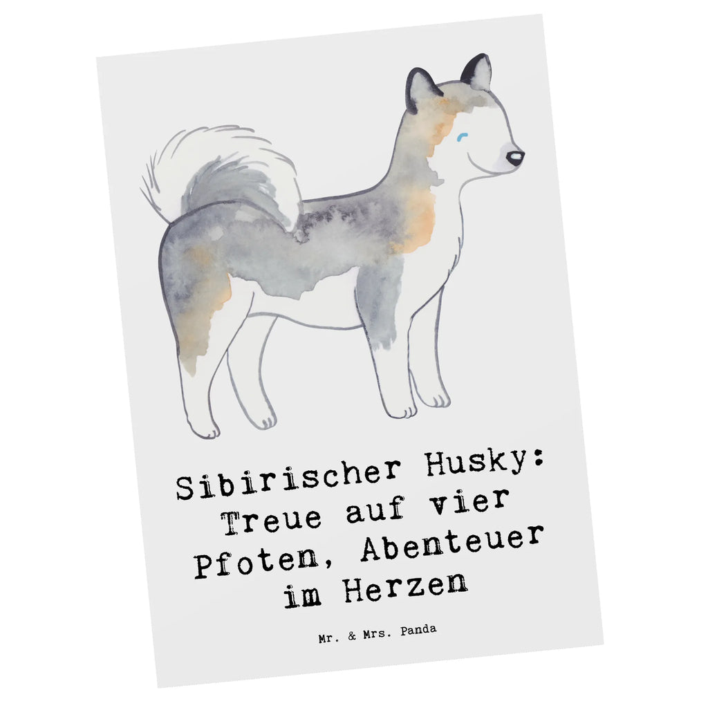 Postkarte Sibirischer Husky Postkarte, Karte, Geschenkkarte, Grußkarte, Einladung, Ansichtskarte, Geburtstagskarte, Einladungskarte, Dankeskarte, Ansichtskarten, Einladung Geburtstag, Einladungskarten Geburtstag, Hund, Hunderasse, Rassehund, Hundebesitzer, Geschenk, Tierfreund, Schenken, Welpe