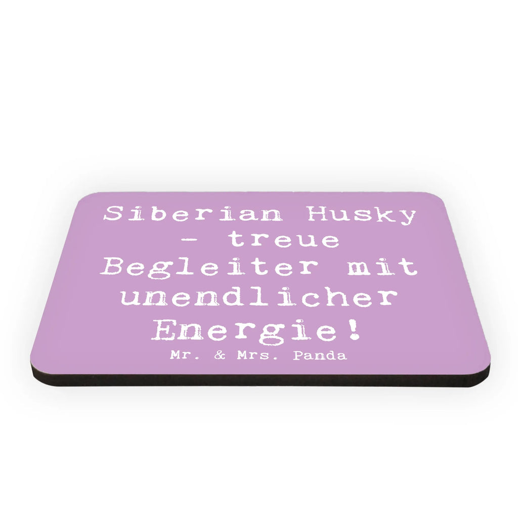 Magnet Spruch Siberian Husky Energie Kühlschrankmagnet, Pinnwandmagnet, Souvenir Magnet, Motivmagnete, Dekomagnet, Whiteboard Magnet, Notiz Magnet, Kühlschrank Dekoration, Hund, Hunderasse, Rassehund, Hundebesitzer, Geschenk, Tierfreund, Schenken, Welpe