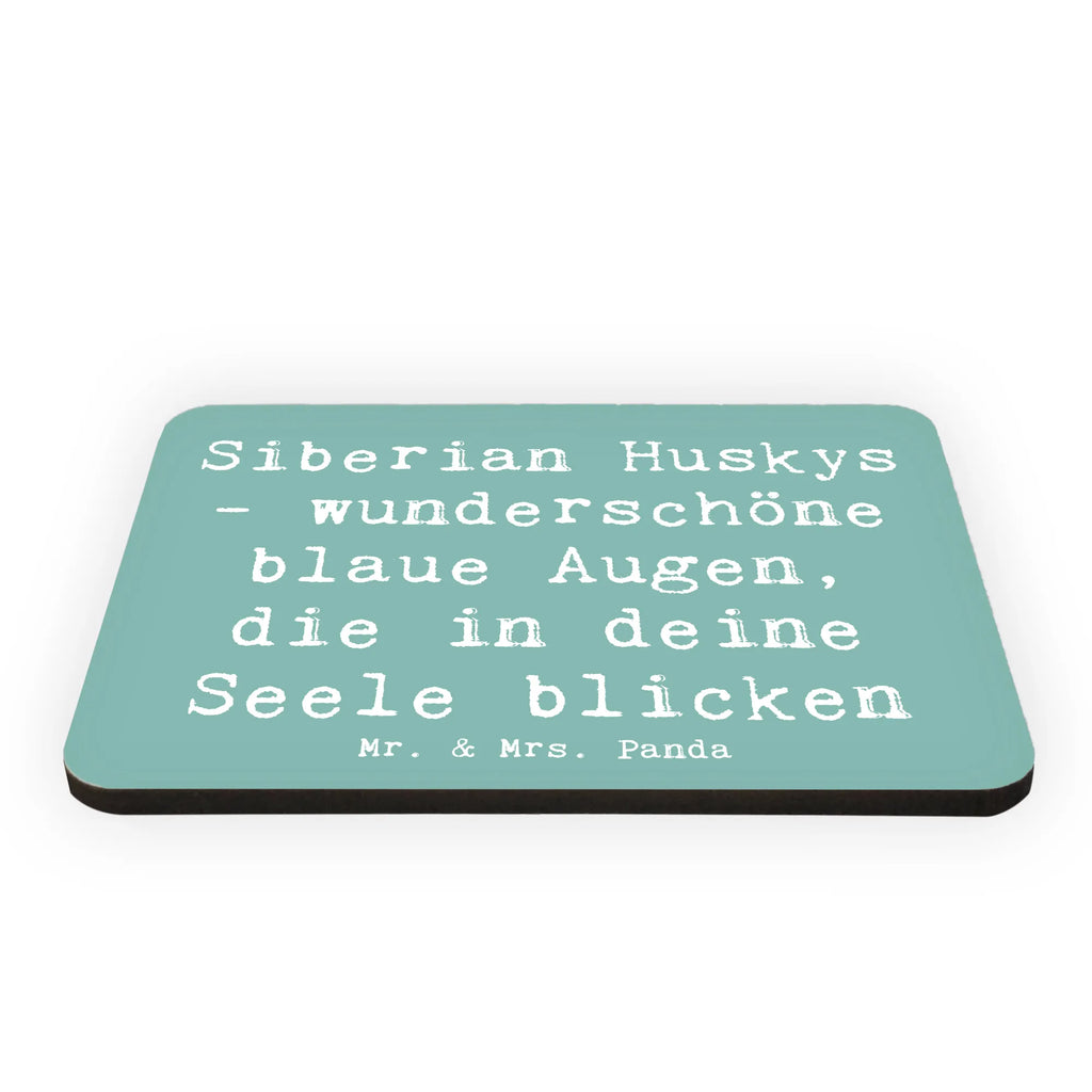 Magnet Spruch Siberian Husky Augenzauber Kühlschrankmagnet, Pinnwandmagnet, Souvenir Magnet, Motivmagnete, Dekomagnet, Whiteboard Magnet, Notiz Magnet, Kühlschrank Dekoration, Hund, Hunderasse, Rassehund, Hundebesitzer, Geschenk, Tierfreund, Schenken, Welpe