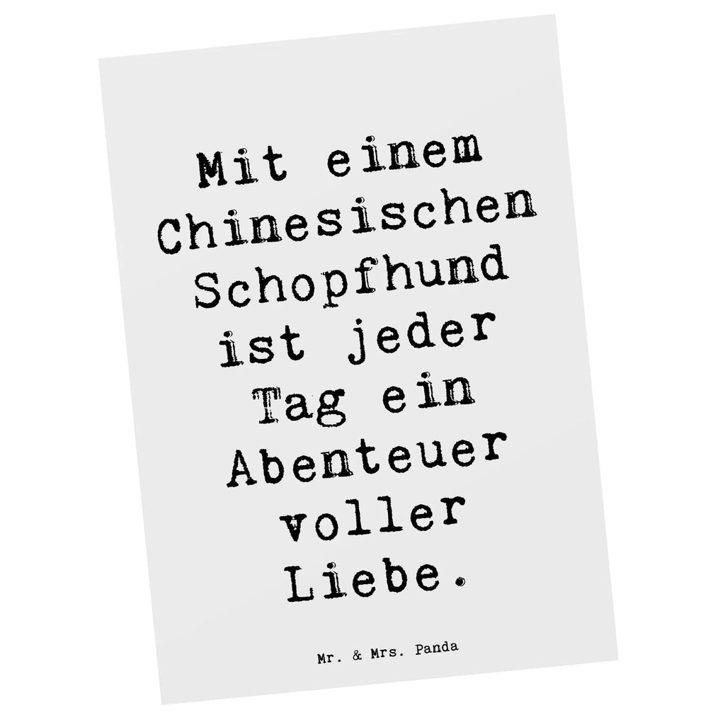 Postkarte Spruch Chinesischer Schopfhund Abenteuer Postkarte, Karte, Geschenkkarte, Grußkarte, Einladung, Ansichtskarte, Geburtstagskarte, Einladungskarte, Dankeskarte, Ansichtskarten, Einladung Geburtstag, Einladungskarten Geburtstag, Hund, Hunderasse, Rassehund, Hundebesitzer, Geschenk, Tierfreund, Schenken, Welpe