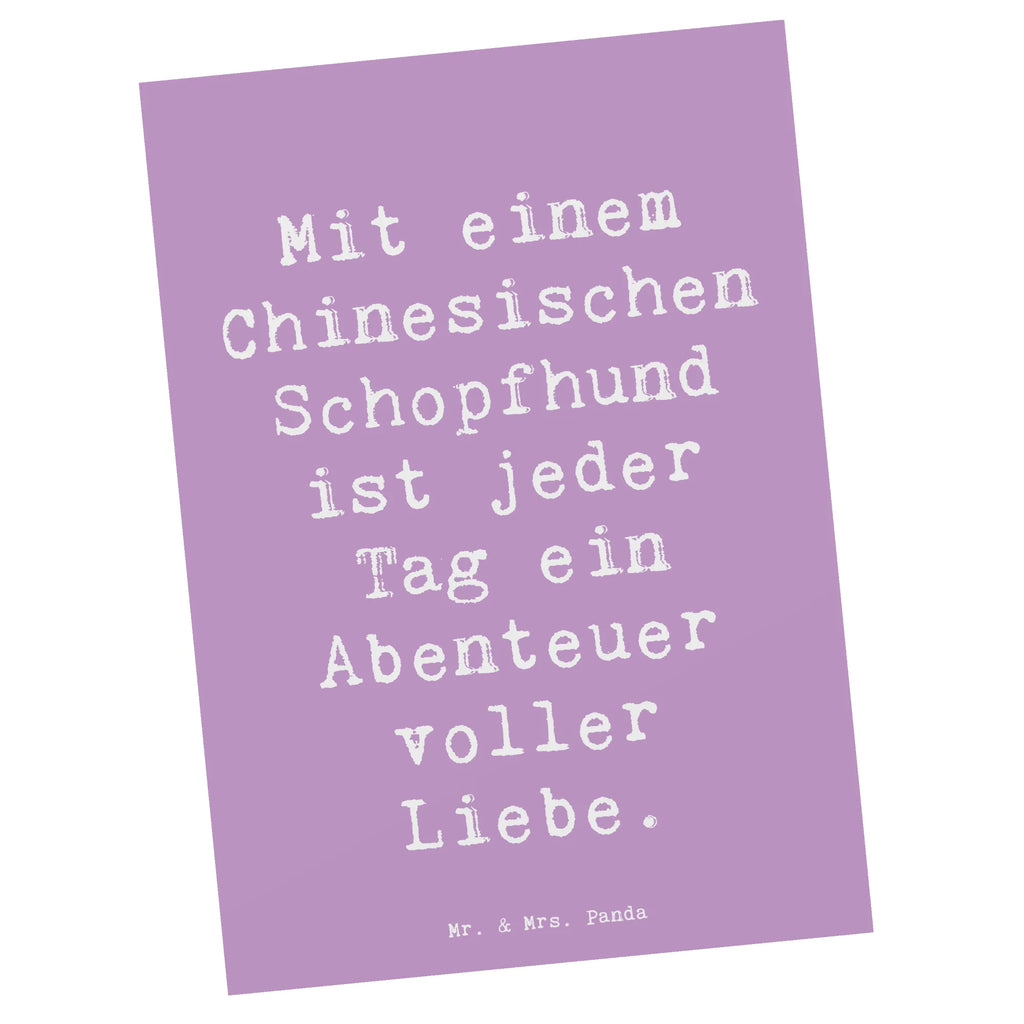 Postkarte Spruch Chinesischer Schopfhund Abenteuer Postkarte, Karte, Geschenkkarte, Grußkarte, Einladung, Ansichtskarte, Geburtstagskarte, Einladungskarte, Dankeskarte, Ansichtskarten, Einladung Geburtstag, Einladungskarten Geburtstag, Hund, Hunderasse, Rassehund, Hundebesitzer, Geschenk, Tierfreund, Schenken, Welpe