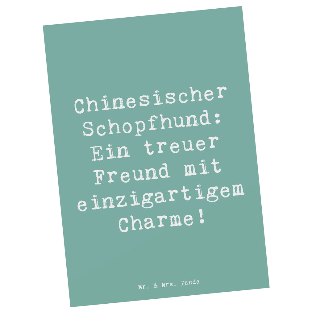 Postkarte Spruch Chinesischer Schopfhund Charme Postkarte, Karte, Geschenkkarte, Grußkarte, Einladung, Ansichtskarte, Geburtstagskarte, Einladungskarte, Dankeskarte, Ansichtskarten, Einladung Geburtstag, Einladungskarten Geburtstag, Hund, Hunderasse, Rassehund, Hundebesitzer, Geschenk, Tierfreund, Schenken, Welpe