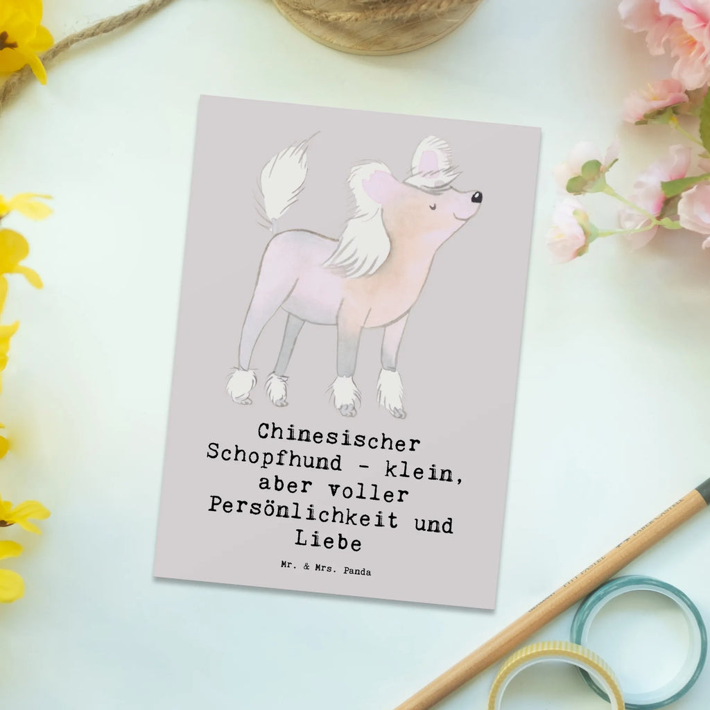 Postkarte Chinesischer Schopfhund Liebe Postkarte, Karte, Geschenkkarte, Grußkarte, Einladung, Ansichtskarte, Geburtstagskarte, Einladungskarte, Dankeskarte, Ansichtskarten, Einladung Geburtstag, Einladungskarten Geburtstag, Hund, Hunderasse, Rassehund, Hundebesitzer, Geschenk, Tierfreund, Schenken, Welpe