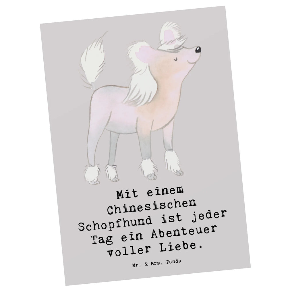 Postkarte Chinesischer Schopfhund Abenteuer Postkarte, Karte, Geschenkkarte, Grußkarte, Einladung, Ansichtskarte, Geburtstagskarte, Einladungskarte, Dankeskarte, Ansichtskarten, Einladung Geburtstag, Einladungskarten Geburtstag, Hund, Hunderasse, Rassehund, Hundebesitzer, Geschenk, Tierfreund, Schenken, Welpe