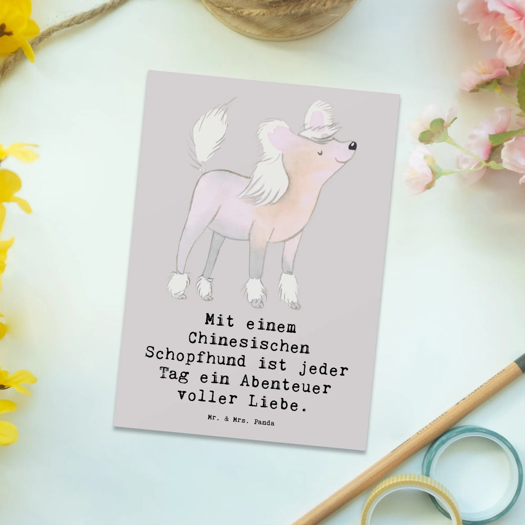 Postkarte Chinesischer Schopfhund Abenteuer Postkarte, Karte, Geschenkkarte, Grußkarte, Einladung, Ansichtskarte, Geburtstagskarte, Einladungskarte, Dankeskarte, Ansichtskarten, Einladung Geburtstag, Einladungskarten Geburtstag, Hund, Hunderasse, Rassehund, Hundebesitzer, Geschenk, Tierfreund, Schenken, Welpe