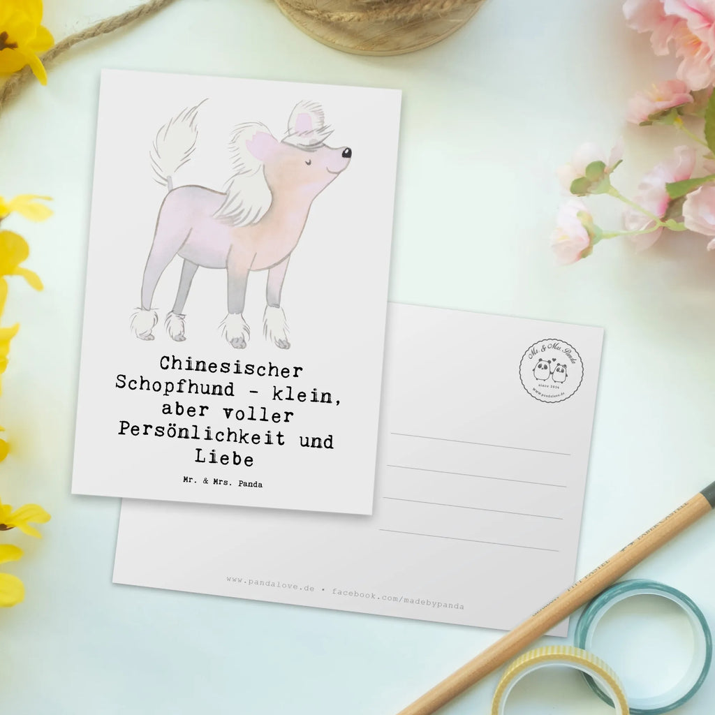 Postkarte Chinesischer Schopfhund Liebe Postkarte, Karte, Geschenkkarte, Grußkarte, Einladung, Ansichtskarte, Geburtstagskarte, Einladungskarte, Dankeskarte, Ansichtskarten, Einladung Geburtstag, Einladungskarten Geburtstag, Hund, Hunderasse, Rassehund, Hundebesitzer, Geschenk, Tierfreund, Schenken, Welpe