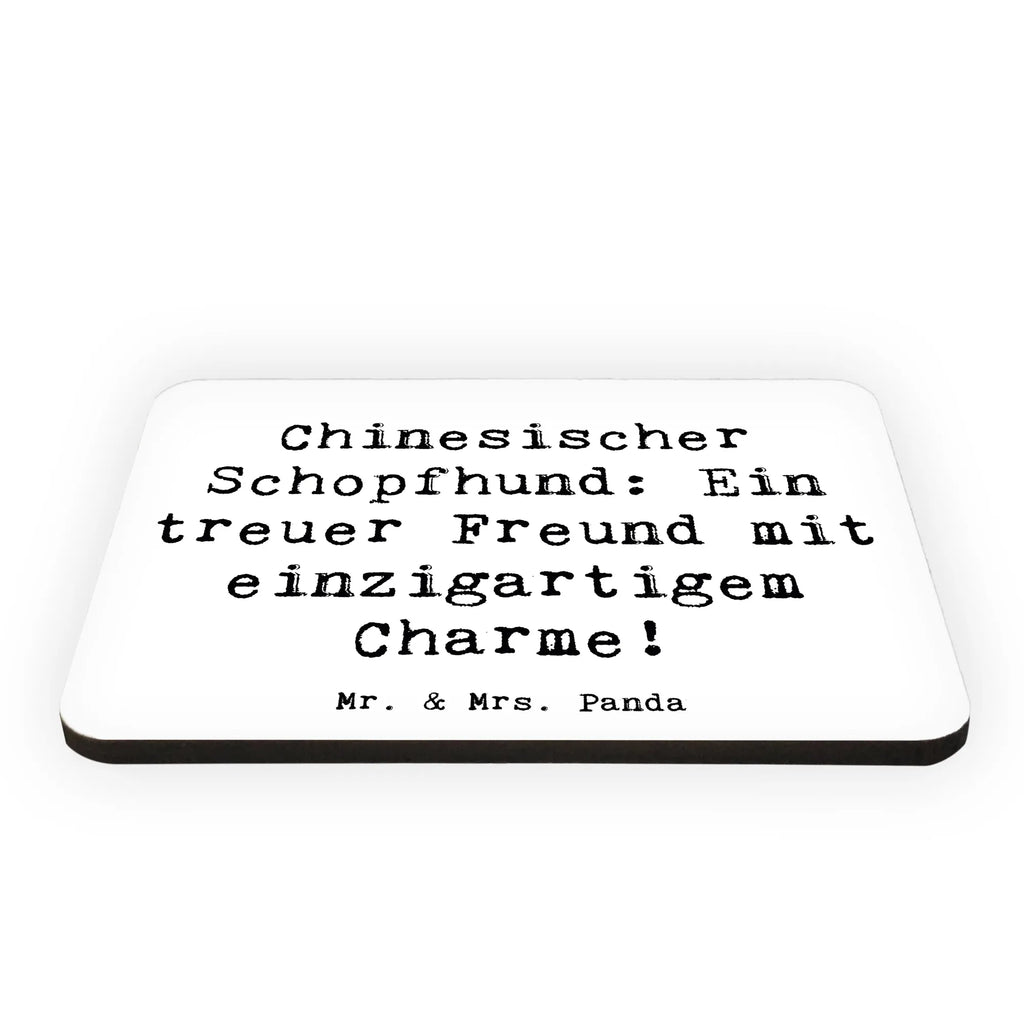 Magnet Spruch Chinesischer Schopfhund Charme Kühlschrankmagnet, Pinnwandmagnet, Souvenir Magnet, Motivmagnete, Dekomagnet, Whiteboard Magnet, Notiz Magnet, Kühlschrank Dekoration, Hund, Hunderasse, Rassehund, Hundebesitzer, Geschenk, Tierfreund, Schenken, Welpe