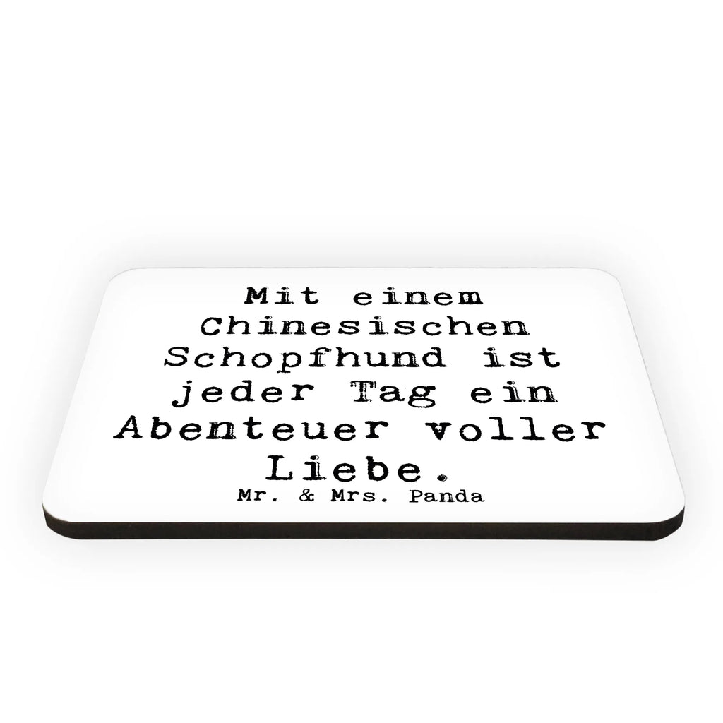 Magnet Spruch Chinesischer Schopfhund Abenteuer Kühlschrankmagnet, Pinnwandmagnet, Souvenir Magnet, Motivmagnete, Dekomagnet, Whiteboard Magnet, Notiz Magnet, Kühlschrank Dekoration, Hund, Hunderasse, Rassehund, Hundebesitzer, Geschenk, Tierfreund, Schenken, Welpe