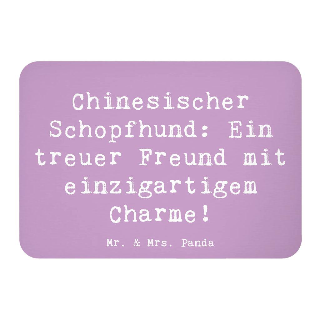 Magnet Spruch Chinesischer Schopfhund Charme Kühlschrankmagnet, Pinnwandmagnet, Souvenir Magnet, Motivmagnete, Dekomagnet, Whiteboard Magnet, Notiz Magnet, Kühlschrank Dekoration, Hund, Hunderasse, Rassehund, Hundebesitzer, Geschenk, Tierfreund, Schenken, Welpe