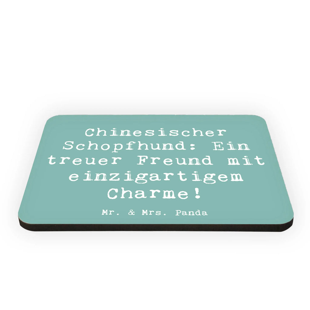 Magnet Spruch Chinesischer Schopfhund Charme Kühlschrankmagnet, Pinnwandmagnet, Souvenir Magnet, Motivmagnete, Dekomagnet, Whiteboard Magnet, Notiz Magnet, Kühlschrank Dekoration, Hund, Hunderasse, Rassehund, Hundebesitzer, Geschenk, Tierfreund, Schenken, Welpe