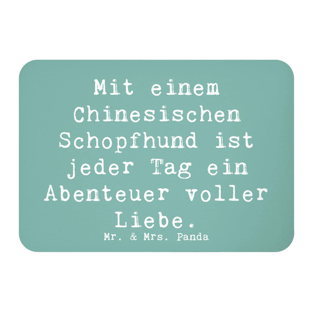 Magnet Spruch Chinesischer Schopfhund Abenteuer Kühlschrankmagnet, Pinnwandmagnet, Souvenir Magnet, Motivmagnete, Dekomagnet, Whiteboard Magnet, Notiz Magnet, Kühlschrank Dekoration, Hund, Hunderasse, Rassehund, Hundebesitzer, Geschenk, Tierfreund, Schenken, Welpe