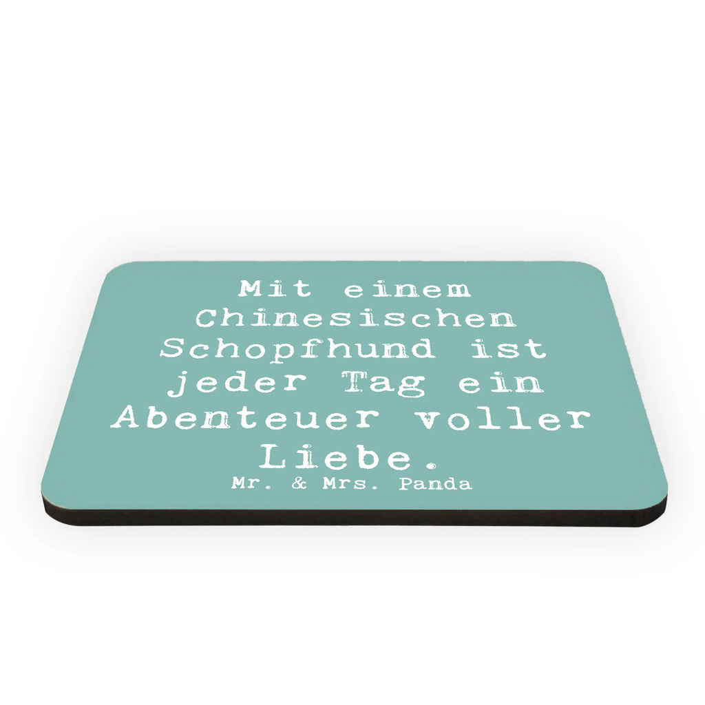 Magnet Spruch Chinesischer Schopfhund Abenteuer Kühlschrankmagnet, Pinnwandmagnet, Souvenir Magnet, Motivmagnete, Dekomagnet, Whiteboard Magnet, Notiz Magnet, Kühlschrank Dekoration, Hund, Hunderasse, Rassehund, Hundebesitzer, Geschenk, Tierfreund, Schenken, Welpe