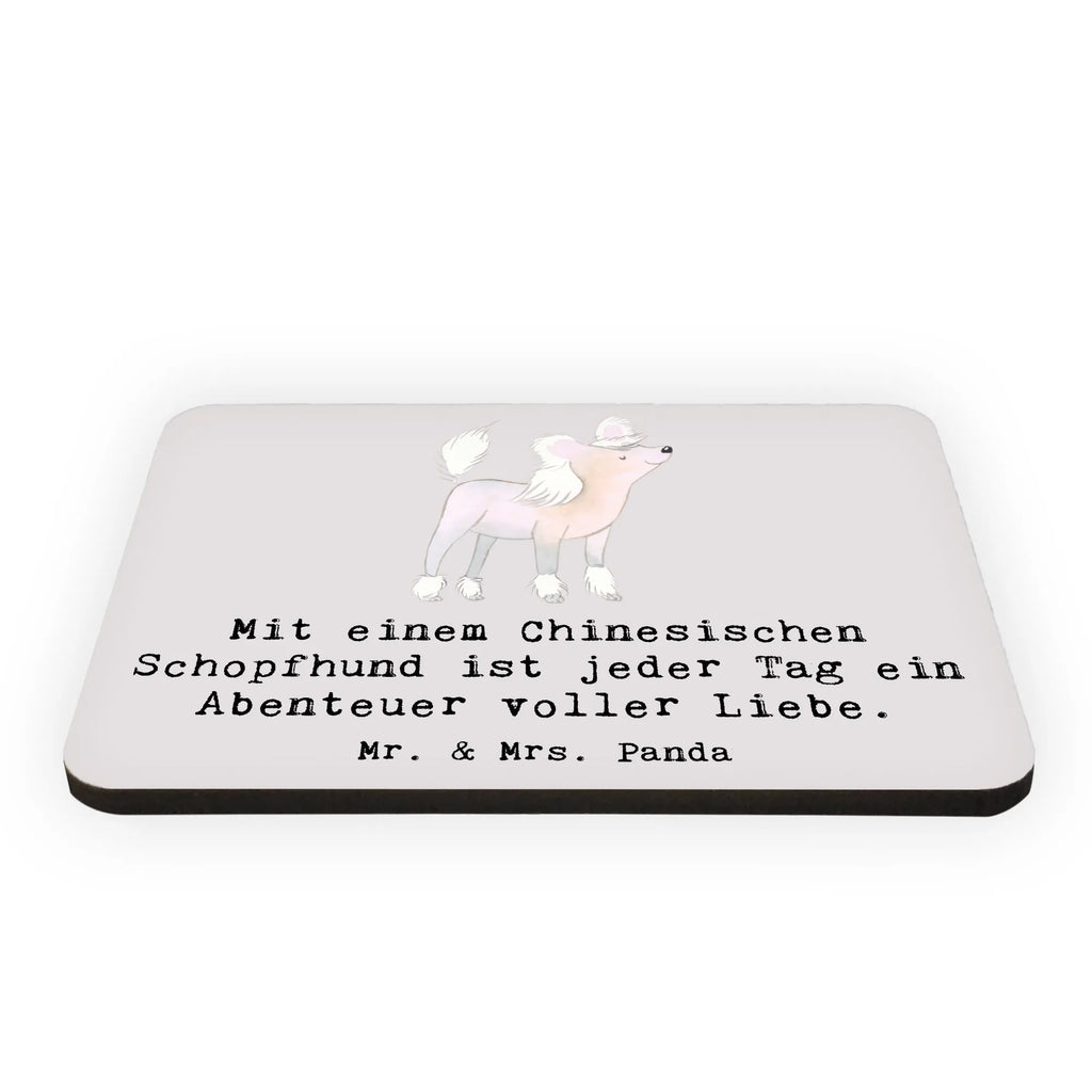 Magnet Chinesischer Schopfhund Abenteuer Kühlschrankmagnet, Pinnwandmagnet, Souvenir Magnet, Motivmagnete, Dekomagnet, Whiteboard Magnet, Notiz Magnet, Kühlschrank Dekoration, Hund, Hunderasse, Rassehund, Hundebesitzer, Geschenk, Tierfreund, Schenken, Welpe