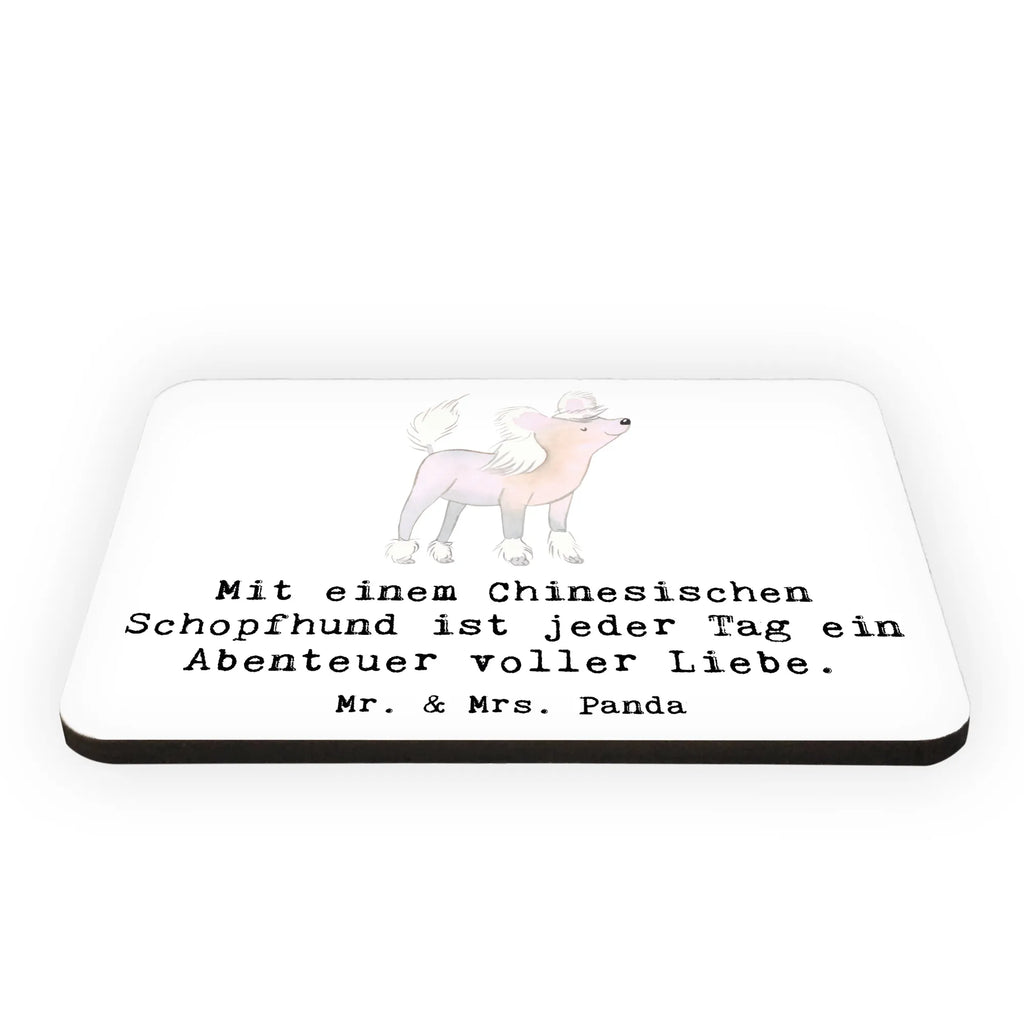 Magnet Chinesischer Schopfhund Abenteuer Kühlschrankmagnet, Pinnwandmagnet, Souvenir Magnet, Motivmagnete, Dekomagnet, Whiteboard Magnet, Notiz Magnet, Kühlschrank Dekoration, Hund, Hunderasse, Rassehund, Hundebesitzer, Geschenk, Tierfreund, Schenken, Welpe