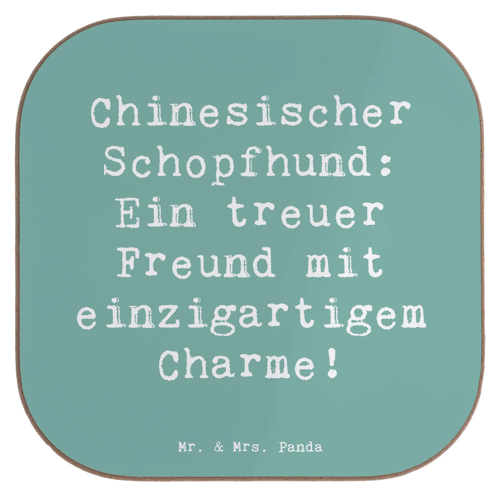 Untersetzer Spruch Chinesischer Schopfhund Charme Untersetzer, Bierdeckel, Glasuntersetzer, Untersetzer Gläser, Getränkeuntersetzer, Untersetzer aus Holz, Untersetzer für Gläser, Korkuntersetzer, Untersetzer Holz, Holzuntersetzer, Tassen Untersetzer, Untersetzer Design, Hund, Hunderasse, Rassehund, Hundebesitzer, Geschenk, Tierfreund, Schenken, Welpe