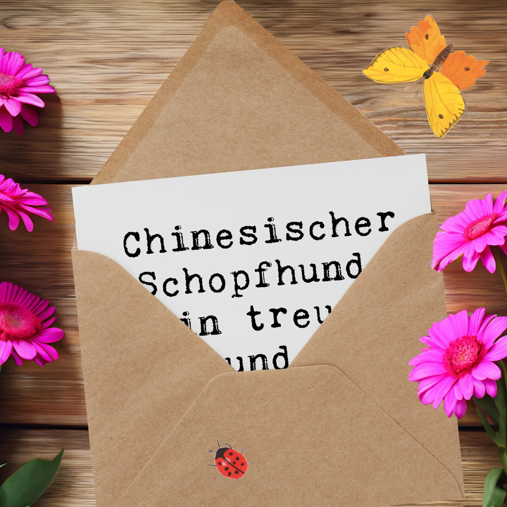 Deluxe Karte Spruch Chinesischer Schopfhund Charme Karte, Grußkarte, Klappkarte, Einladungskarte, Glückwunschkarte, Hochzeitskarte, Geburtstagskarte, Hochwertige Grußkarte, Hochwertige Klappkarte, Hund, Hunderasse, Rassehund, Hundebesitzer, Geschenk, Tierfreund, Schenken, Welpe