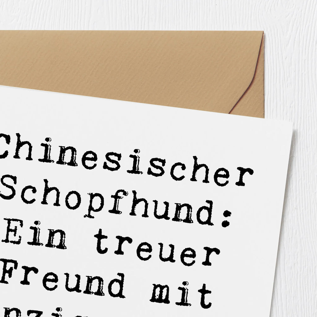 Deluxe Karte Spruch Chinesischer Schopfhund Charme Karte, Grußkarte, Klappkarte, Einladungskarte, Glückwunschkarte, Hochzeitskarte, Geburtstagskarte, Hochwertige Grußkarte, Hochwertige Klappkarte, Hund, Hunderasse, Rassehund, Hundebesitzer, Geschenk, Tierfreund, Schenken, Welpe