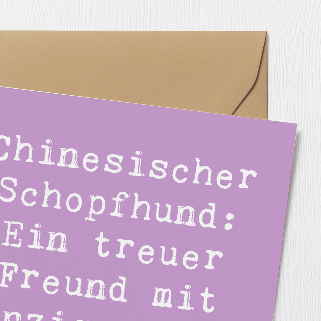 Deluxe Karte Spruch Chinesischer Schopfhund Charme Karte, Grußkarte, Klappkarte, Einladungskarte, Glückwunschkarte, Hochzeitskarte, Geburtstagskarte, Hochwertige Grußkarte, Hochwertige Klappkarte, Hund, Hunderasse, Rassehund, Hundebesitzer, Geschenk, Tierfreund, Schenken, Welpe