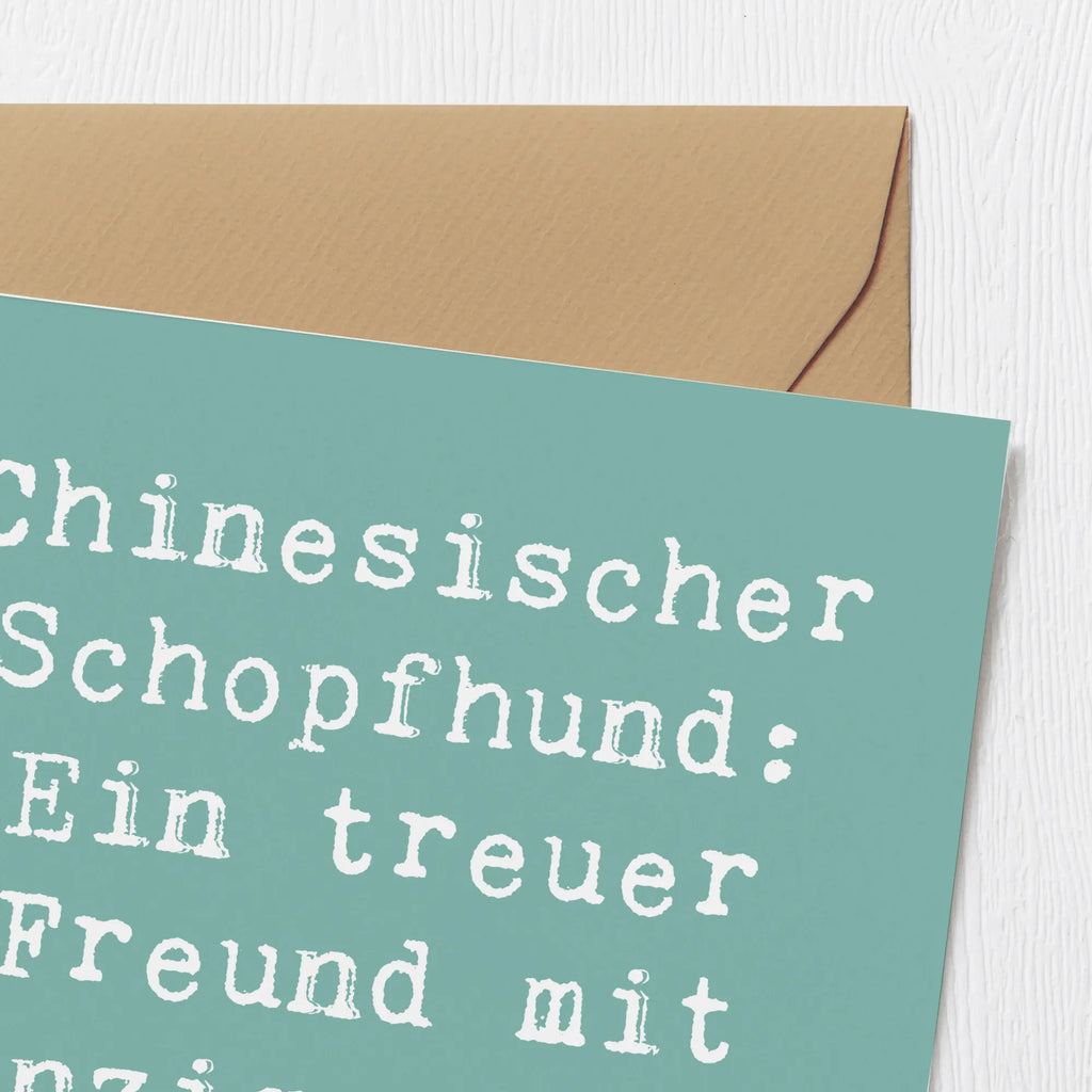 Deluxe Karte Spruch Chinesischer Schopfhund Charme Karte, Grußkarte, Klappkarte, Einladungskarte, Glückwunschkarte, Hochzeitskarte, Geburtstagskarte, Hochwertige Grußkarte, Hochwertige Klappkarte, Hund, Hunderasse, Rassehund, Hundebesitzer, Geschenk, Tierfreund, Schenken, Welpe