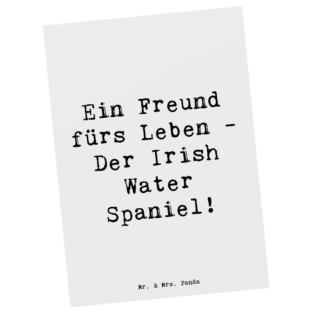 Postkarte Spruch Irish Water Spaniel Freund Postkarte, Karte, Geschenkkarte, Grußkarte, Einladung, Ansichtskarte, Geburtstagskarte, Einladungskarte, Dankeskarte, Ansichtskarten, Einladung Geburtstag, Einladungskarten Geburtstag, Hund, Hunderasse, Rassehund, Hundebesitzer, Geschenk, Tierfreund, Schenken, Welpe