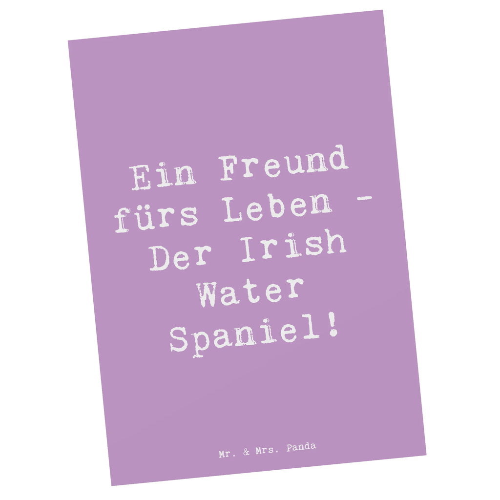 Postkarte Spruch Irish Water Spaniel Freund Postkarte, Karte, Geschenkkarte, Grußkarte, Einladung, Ansichtskarte, Geburtstagskarte, Einladungskarte, Dankeskarte, Ansichtskarten, Einladung Geburtstag, Einladungskarten Geburtstag, Hund, Hunderasse, Rassehund, Hundebesitzer, Geschenk, Tierfreund, Schenken, Welpe