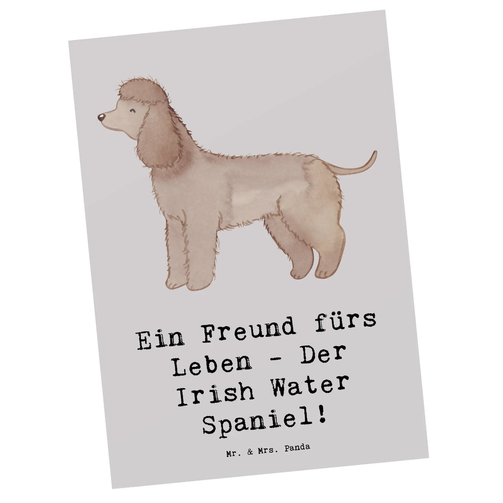 Postkarte Irish Water Spaniel Freund Postkarte, Karte, Geschenkkarte, Grußkarte, Einladung, Ansichtskarte, Geburtstagskarte, Einladungskarte, Dankeskarte, Ansichtskarten, Einladung Geburtstag, Einladungskarten Geburtstag, Hund, Hunderasse, Rassehund, Hundebesitzer, Geschenk, Tierfreund, Schenken, Welpe