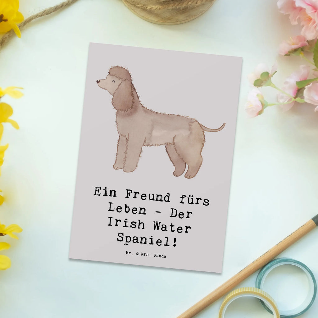 Postkarte Irish Water Spaniel Freund Postkarte, Karte, Geschenkkarte, Grußkarte, Einladung, Ansichtskarte, Geburtstagskarte, Einladungskarte, Dankeskarte, Ansichtskarten, Einladung Geburtstag, Einladungskarten Geburtstag, Hund, Hunderasse, Rassehund, Hundebesitzer, Geschenk, Tierfreund, Schenken, Welpe