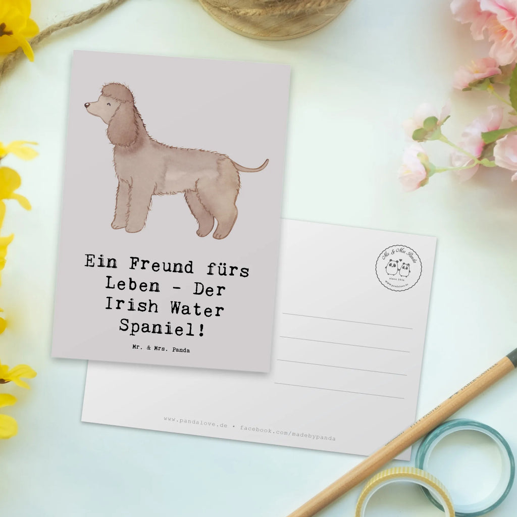 Postkarte Irish Water Spaniel Freund Postkarte, Karte, Geschenkkarte, Grußkarte, Einladung, Ansichtskarte, Geburtstagskarte, Einladungskarte, Dankeskarte, Ansichtskarten, Einladung Geburtstag, Einladungskarten Geburtstag, Hund, Hunderasse, Rassehund, Hundebesitzer, Geschenk, Tierfreund, Schenken, Welpe