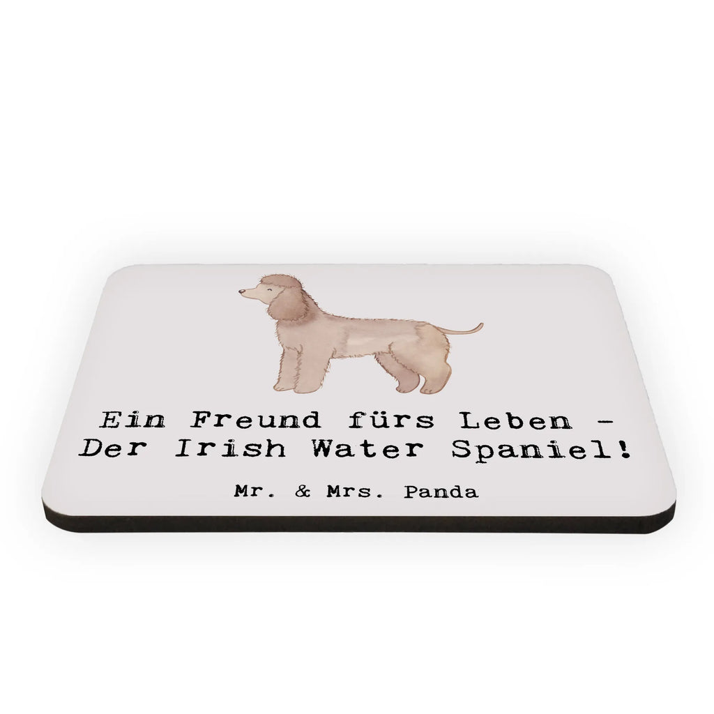 Magnet Irish Water Spaniel Freund Kühlschrankmagnet, Pinnwandmagnet, Souvenir Magnet, Motivmagnete, Dekomagnet, Whiteboard Magnet, Notiz Magnet, Kühlschrank Dekoration, Hund, Hunderasse, Rassehund, Hundebesitzer, Geschenk, Tierfreund, Schenken, Welpe