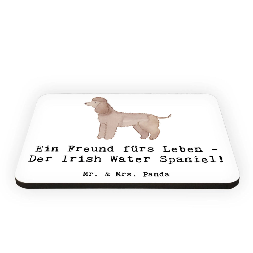 Magnet Irish Water Spaniel Freund Kühlschrankmagnet, Pinnwandmagnet, Souvenir Magnet, Motivmagnete, Dekomagnet, Whiteboard Magnet, Notiz Magnet, Kühlschrank Dekoration, Hund, Hunderasse, Rassehund, Hundebesitzer, Geschenk, Tierfreund, Schenken, Welpe