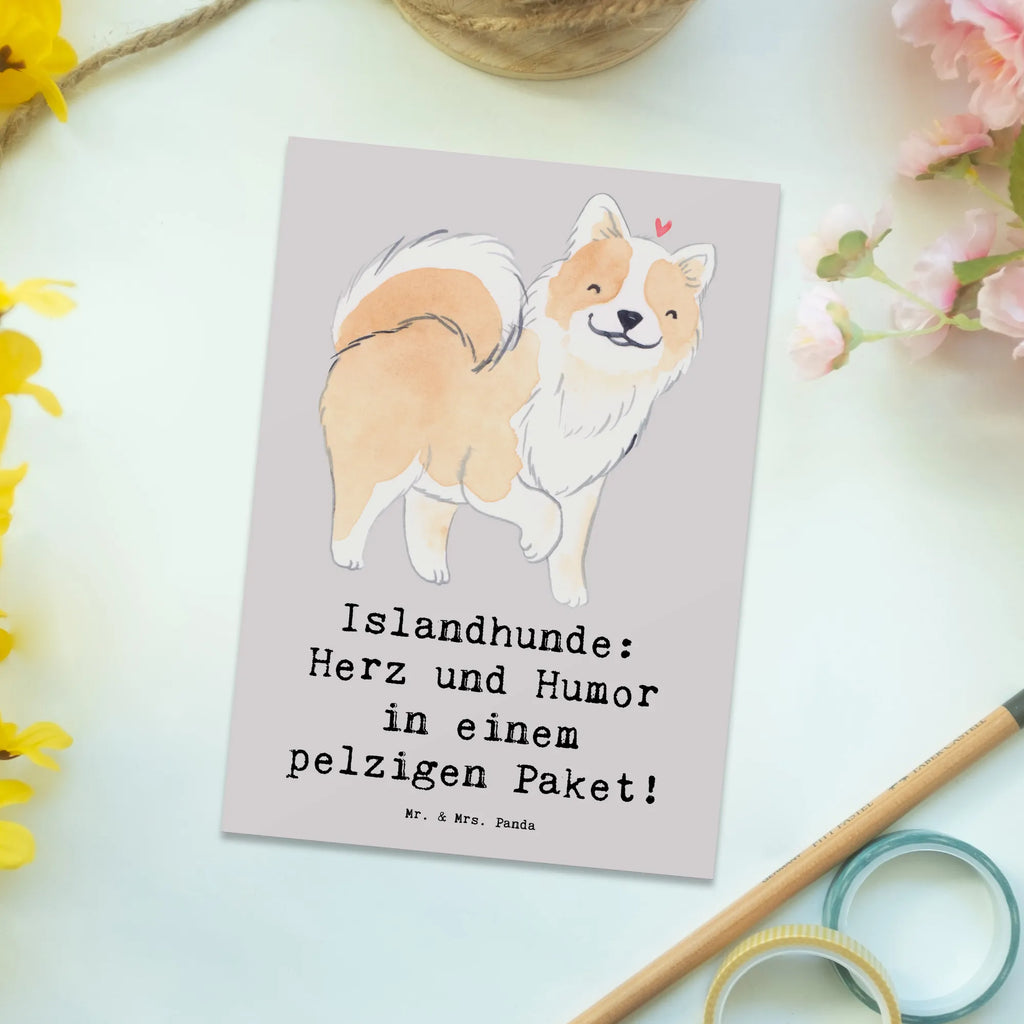 Postkarte Islandhund Freude Postkarte, Karte, Geschenkkarte, Grußkarte, Einladung, Ansichtskarte, Geburtstagskarte, Einladungskarte, Dankeskarte, Ansichtskarten, Einladung Geburtstag, Einladungskarten Geburtstag, Hund, Hunderasse, Rassehund, Hundebesitzer, Geschenk, Tierfreund, Schenken, Welpe