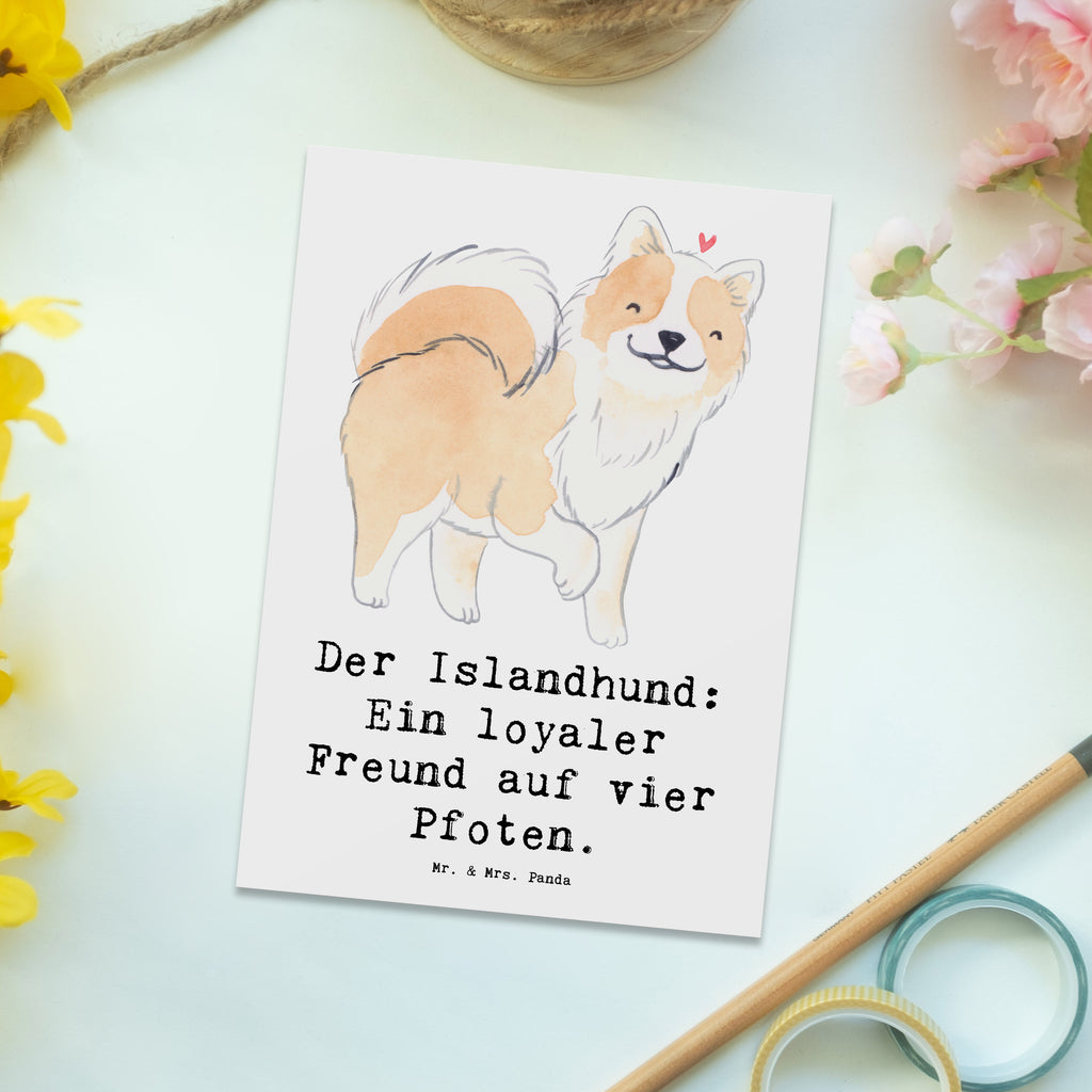 Postkarte Treuer Islandhund Postkarte, Karte, Geschenkkarte, Grußkarte, Einladung, Ansichtskarte, Geburtstagskarte, Einladungskarte, Dankeskarte, Ansichtskarten, Einladung Geburtstag, Einladungskarten Geburtstag, Hund, Hunderasse, Rassehund, Hundebesitzer, Geschenk, Tierfreund, Schenken, Welpe