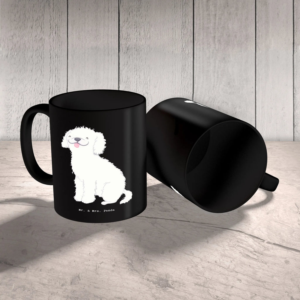 Tasse Kleinpudel Freunde Tasse, Kaffeetasse, Teetasse, Becher, Kaffeebecher, Teebecher, Keramiktasse, Porzellantasse, Büro Tasse, Geschenk Tasse, Tasse Sprüche, Tasse Motive, Kaffeetassen, Tasse bedrucken, Designer Tasse, Cappuccino Tassen, Schöne Teetassen, Hund, Hunderasse, Rassehund, Hundebesitzer, Geschenk, Tierfreund, Schenken, Welpe