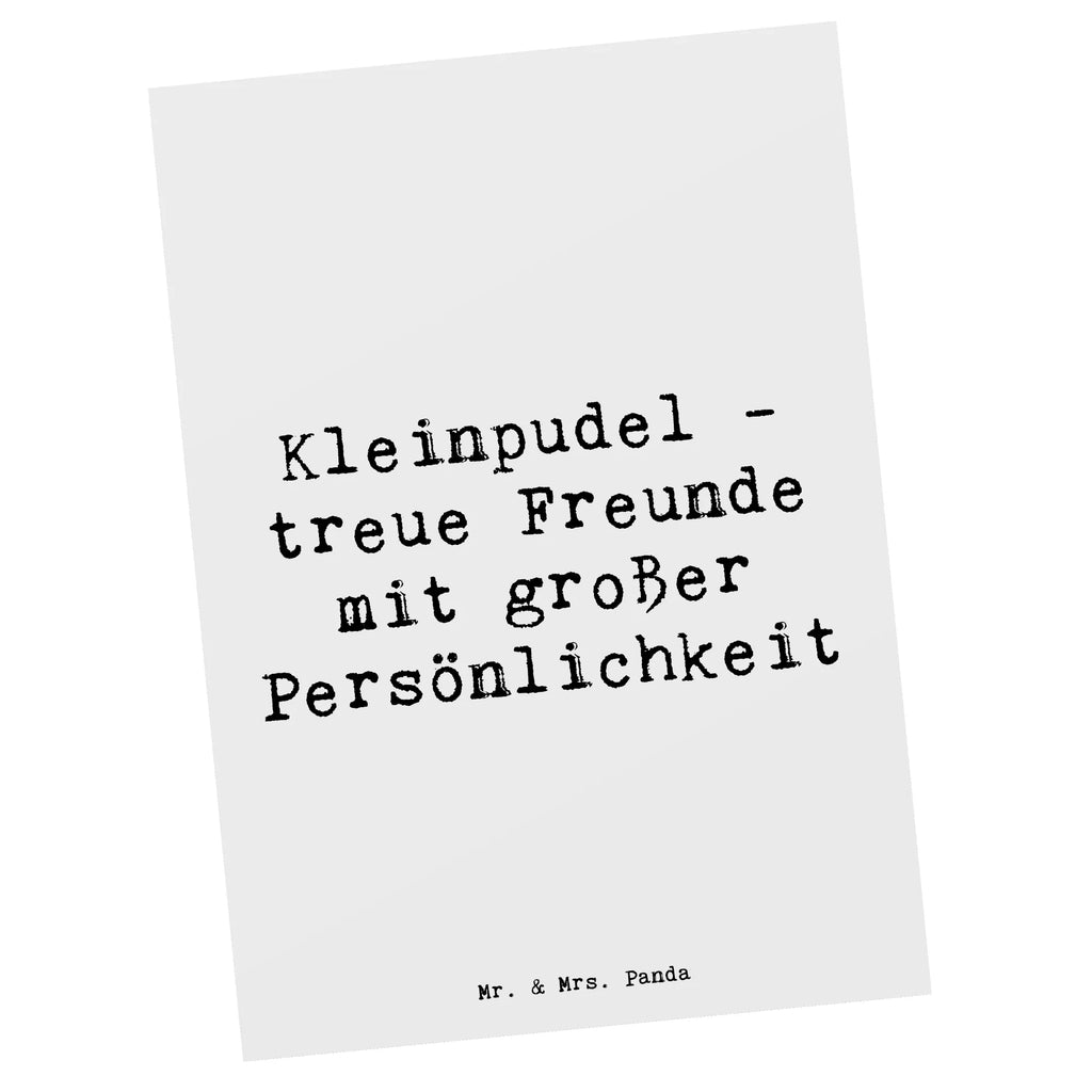 Postkarte Spruch Kleinpudel Freunde Postkarte, Karte, Geschenkkarte, Grußkarte, Einladung, Ansichtskarte, Geburtstagskarte, Einladungskarte, Dankeskarte, Ansichtskarten, Einladung Geburtstag, Einladungskarten Geburtstag, Hund, Hunderasse, Rassehund, Hundebesitzer, Geschenk, Tierfreund, Schenken, Welpe