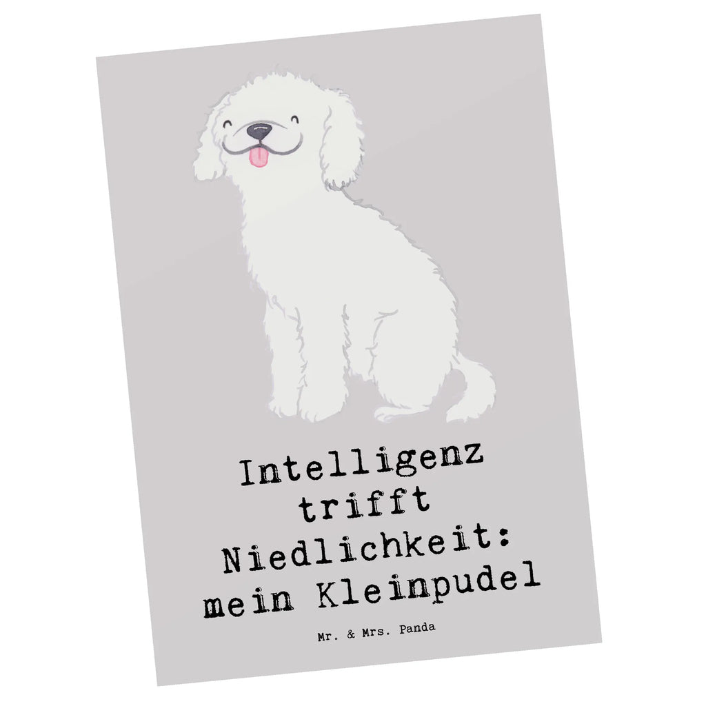 Postkarte Niedlicher Kleinpudel Postkarte, Karte, Geschenkkarte, Grußkarte, Einladung, Ansichtskarte, Geburtstagskarte, Einladungskarte, Dankeskarte, Ansichtskarten, Einladung Geburtstag, Einladungskarten Geburtstag, Hund, Hunderasse, Rassehund, Hundebesitzer, Geschenk, Tierfreund, Schenken, Welpe