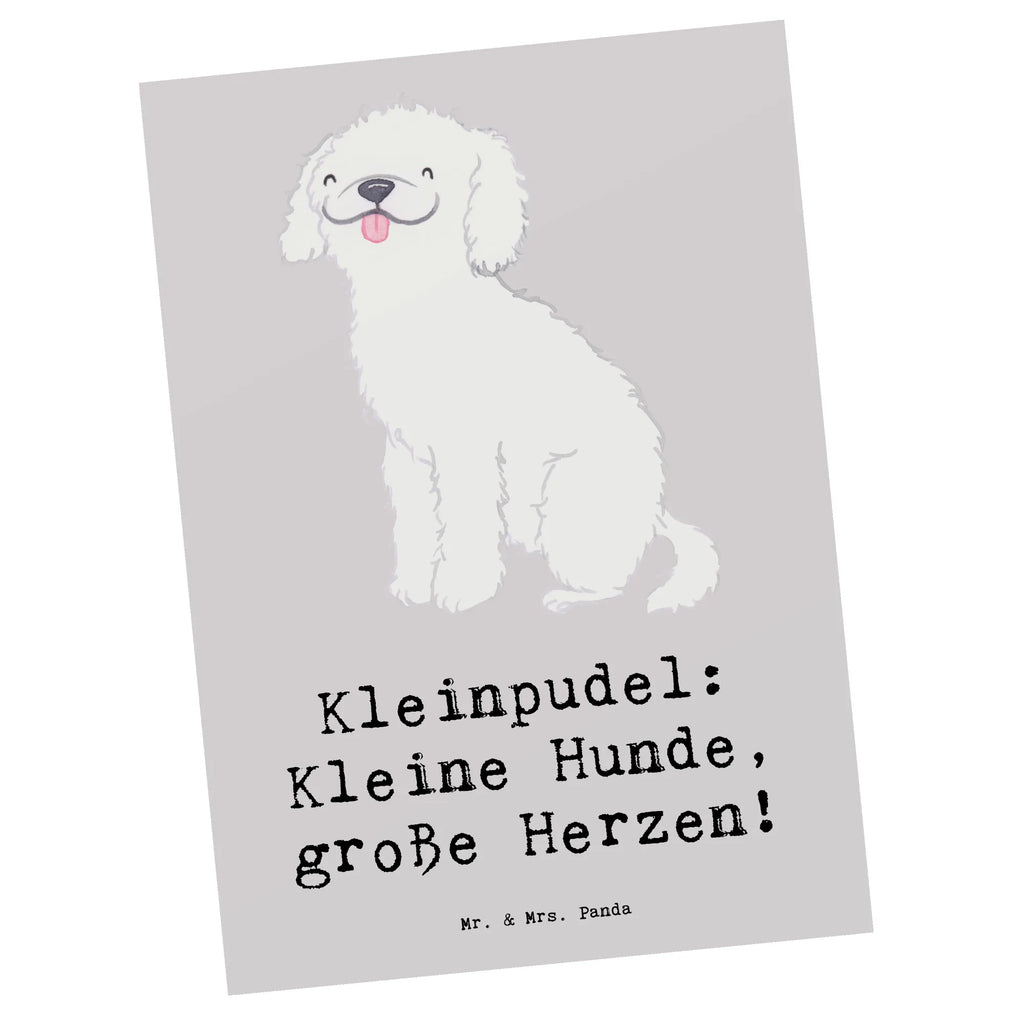 Postkarte Kleinpudel Liebe Postkarte, Karte, Geschenkkarte, Grußkarte, Einladung, Ansichtskarte, Geburtstagskarte, Einladungskarte, Dankeskarte, Ansichtskarten, Einladung Geburtstag, Einladungskarten Geburtstag, Hund, Hunderasse, Rassehund, Hundebesitzer, Geschenk, Tierfreund, Schenken, Welpe