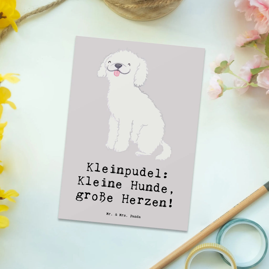 Postkarte Kleinpudel Liebe Postkarte, Karte, Geschenkkarte, Grußkarte, Einladung, Ansichtskarte, Geburtstagskarte, Einladungskarte, Dankeskarte, Ansichtskarten, Einladung Geburtstag, Einladungskarten Geburtstag, Hund, Hunderasse, Rassehund, Hundebesitzer, Geschenk, Tierfreund, Schenken, Welpe