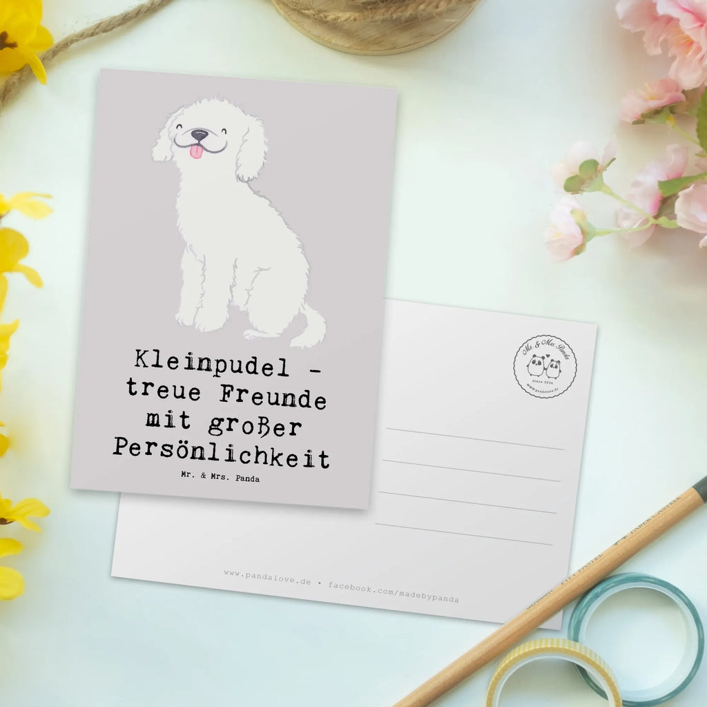 Postkarte Kleinpudel Freunde Postkarte, Karte, Geschenkkarte, Grußkarte, Einladung, Ansichtskarte, Geburtstagskarte, Einladungskarte, Dankeskarte, Ansichtskarten, Einladung Geburtstag, Einladungskarten Geburtstag, Hund, Hunderasse, Rassehund, Hundebesitzer, Geschenk, Tierfreund, Schenken, Welpe