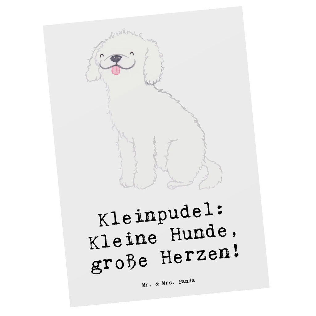 Postkarte Kleinpudel Liebe Postkarte, Karte, Geschenkkarte, Grußkarte, Einladung, Ansichtskarte, Geburtstagskarte, Einladungskarte, Dankeskarte, Ansichtskarten, Einladung Geburtstag, Einladungskarten Geburtstag, Hund, Hunderasse, Rassehund, Hundebesitzer, Geschenk, Tierfreund, Schenken, Welpe