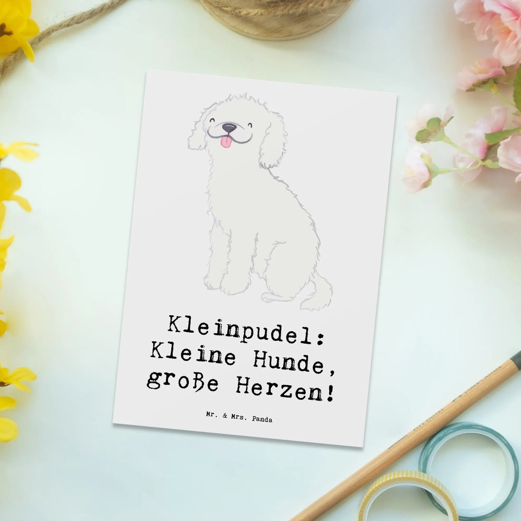 Postkarte Kleinpudel Liebe Postkarte, Karte, Geschenkkarte, Grußkarte, Einladung, Ansichtskarte, Geburtstagskarte, Einladungskarte, Dankeskarte, Ansichtskarten, Einladung Geburtstag, Einladungskarten Geburtstag, Hund, Hunderasse, Rassehund, Hundebesitzer, Geschenk, Tierfreund, Schenken, Welpe