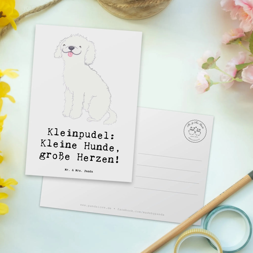 Postkarte Kleinpudel Liebe Postkarte, Karte, Geschenkkarte, Grußkarte, Einladung, Ansichtskarte, Geburtstagskarte, Einladungskarte, Dankeskarte, Ansichtskarten, Einladung Geburtstag, Einladungskarten Geburtstag, Hund, Hunderasse, Rassehund, Hundebesitzer, Geschenk, Tierfreund, Schenken, Welpe