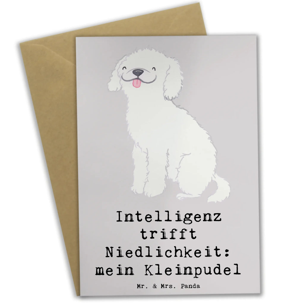 Grußkarte Niedlicher Kleinpudel Grußkarte, Klappkarte, Einladungskarte, Glückwunschkarte, Hochzeitskarte, Geburtstagskarte, Karte, Ansichtskarten, Hund, Hunderasse, Rassehund, Hundebesitzer, Geschenk, Tierfreund, Schenken, Welpe