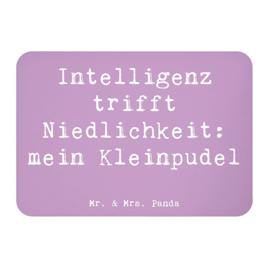 Magnet Spruch Niedlicher Kleinpudel Kühlschrankmagnet, Pinnwandmagnet, Souvenir Magnet, Motivmagnete, Dekomagnet, Whiteboard Magnet, Notiz Magnet, Kühlschrank Dekoration, Hund, Hunderasse, Rassehund, Hundebesitzer, Geschenk, Tierfreund, Schenken, Welpe