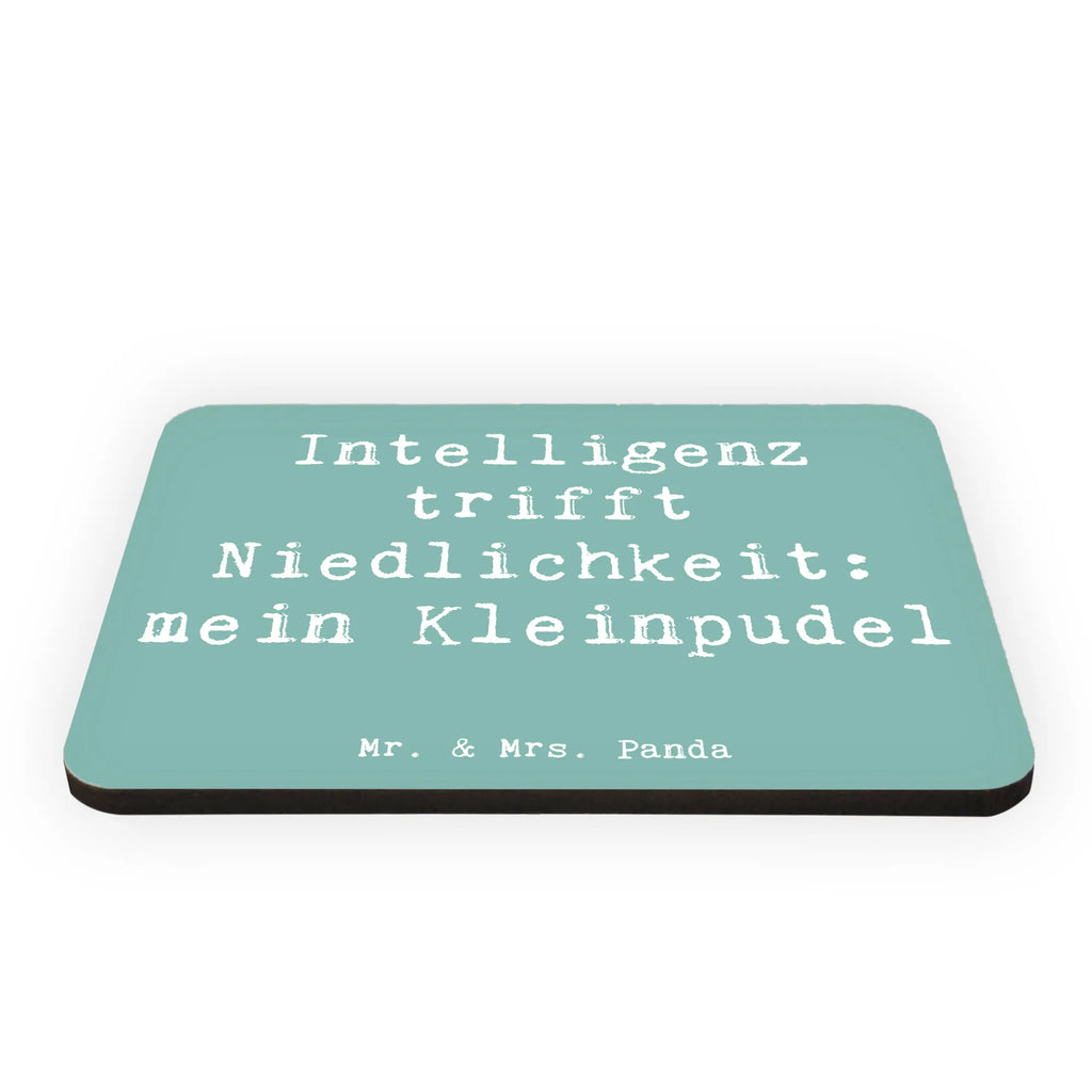 Magnet Spruch Niedlicher Kleinpudel Kühlschrankmagnet, Pinnwandmagnet, Souvenir Magnet, Motivmagnete, Dekomagnet, Whiteboard Magnet, Notiz Magnet, Kühlschrank Dekoration, Hund, Hunderasse, Rassehund, Hundebesitzer, Geschenk, Tierfreund, Schenken, Welpe