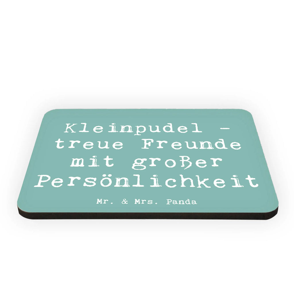 Magnet Spruch Kleinpudel Freunde Kühlschrankmagnet, Pinnwandmagnet, Souvenir Magnet, Motivmagnete, Dekomagnet, Whiteboard Magnet, Notiz Magnet, Kühlschrank Dekoration, Hund, Hunderasse, Rassehund, Hundebesitzer, Geschenk, Tierfreund, Schenken, Welpe