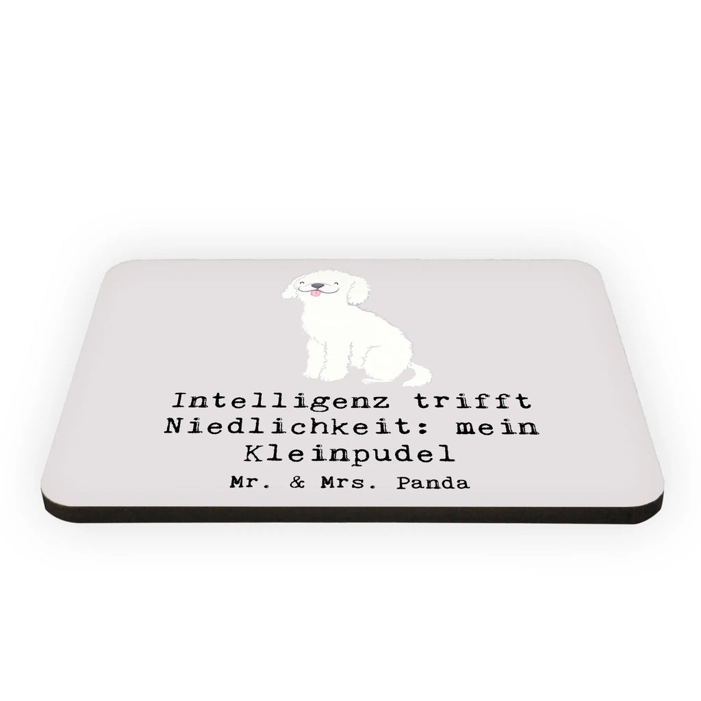 Magnet Niedlicher Kleinpudel Kühlschrankmagnet, Pinnwandmagnet, Souvenir Magnet, Motivmagnete, Dekomagnet, Whiteboard Magnet, Notiz Magnet, Kühlschrank Dekoration, Hund, Hunderasse, Rassehund, Hundebesitzer, Geschenk, Tierfreund, Schenken, Welpe