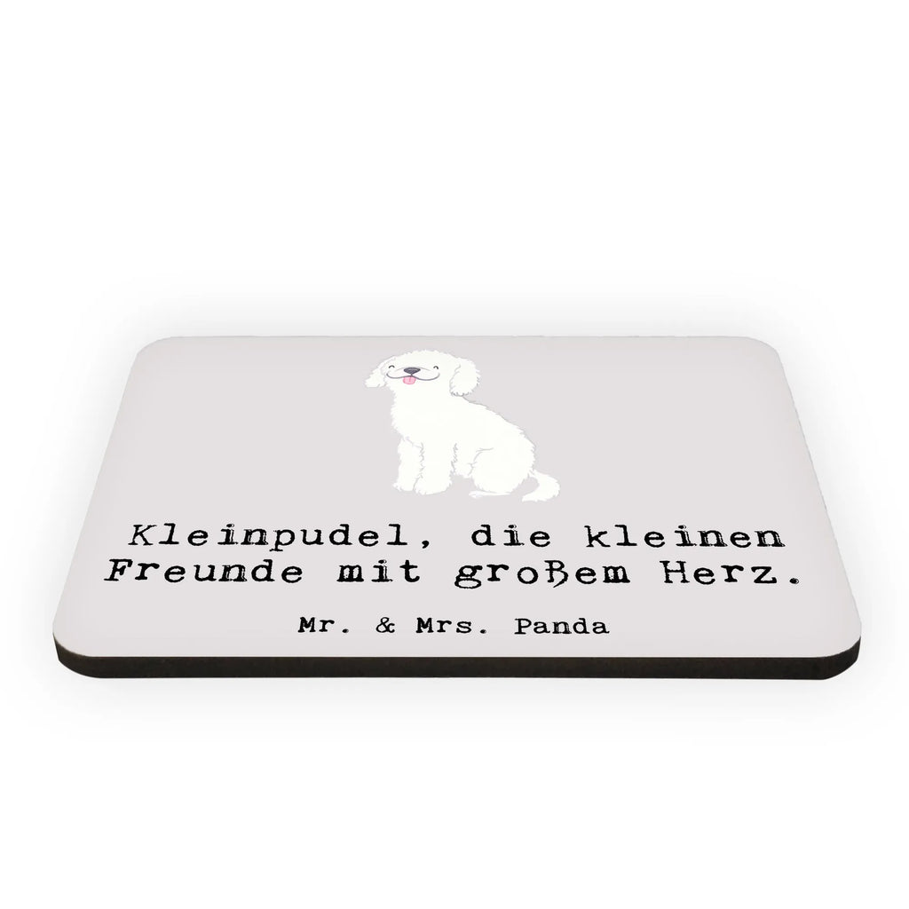 Magnet Kleinpudel Liebe Kühlschrankmagnet, Pinnwandmagnet, Souvenir Magnet, Motivmagnete, Dekomagnet, Whiteboard Magnet, Notiz Magnet, Kühlschrank Dekoration, Hund, Hunderasse, Rassehund, Hundebesitzer, Geschenk, Tierfreund, Schenken, Welpe