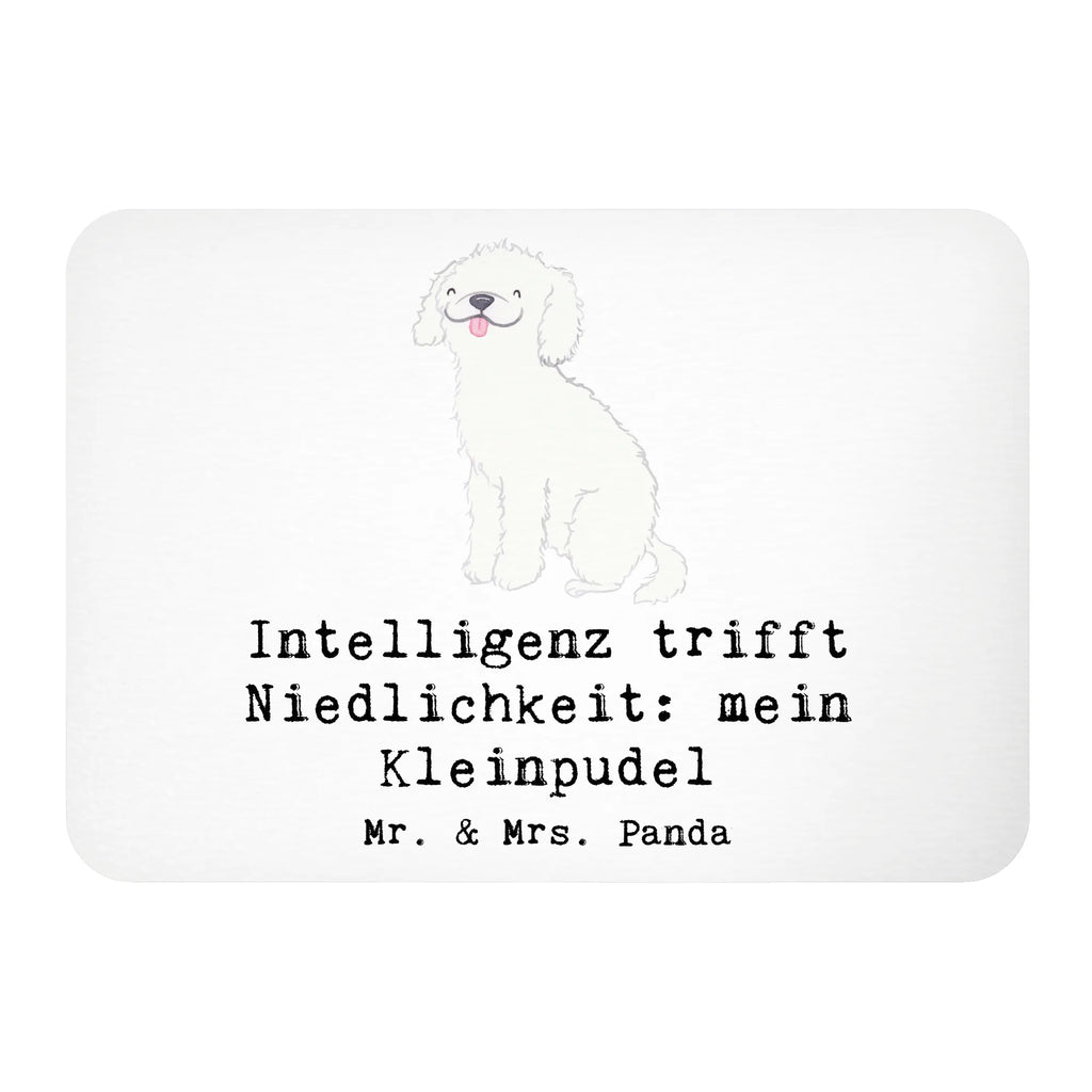 Magnet Niedlicher Kleinpudel Kühlschrankmagnet, Pinnwandmagnet, Souvenir Magnet, Motivmagnete, Dekomagnet, Whiteboard Magnet, Notiz Magnet, Kühlschrank Dekoration, Hund, Hunderasse, Rassehund, Hundebesitzer, Geschenk, Tierfreund, Schenken, Welpe