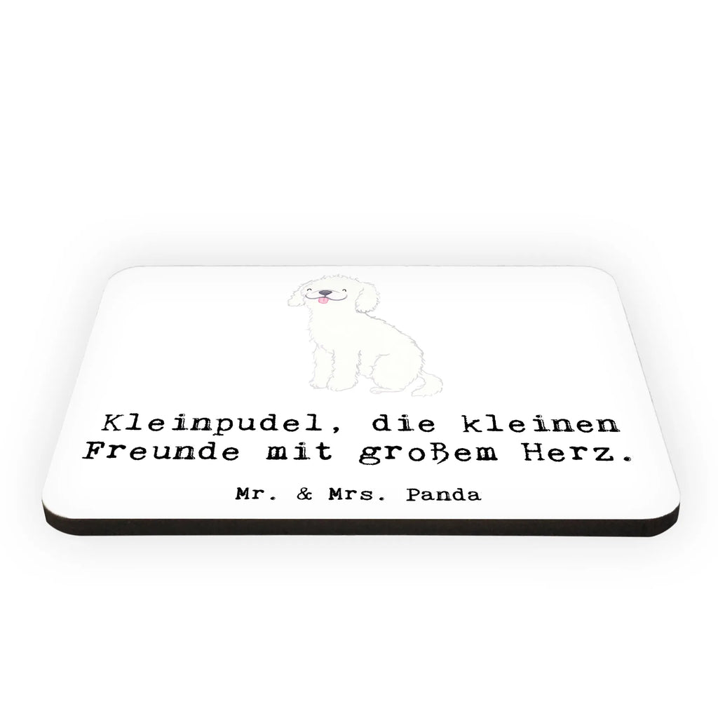 Magnet Kleinpudel Liebe Kühlschrankmagnet, Pinnwandmagnet, Souvenir Magnet, Motivmagnete, Dekomagnet, Whiteboard Magnet, Notiz Magnet, Kühlschrank Dekoration, Hund, Hunderasse, Rassehund, Hundebesitzer, Geschenk, Tierfreund, Schenken, Welpe